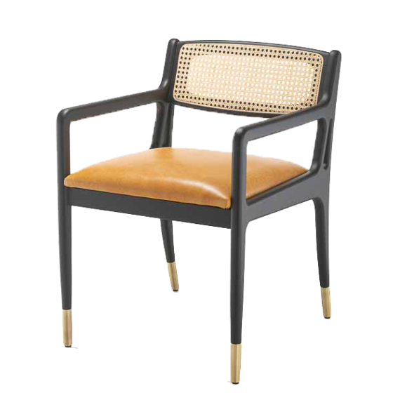 Protis Rattan Armchair