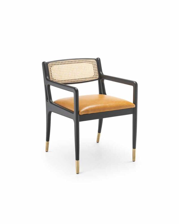 Protis Rattan Armchair