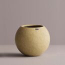 ARTEMIS, LG - Yellow