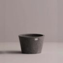 FLORA, MD - Anthracite