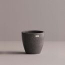 INDRA, MD - Anthracite