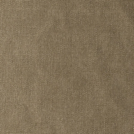 bali-camel
