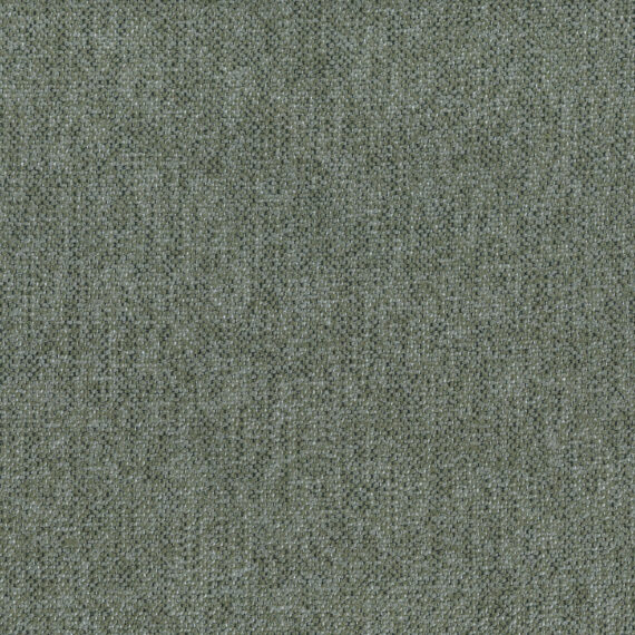 allegro-moss