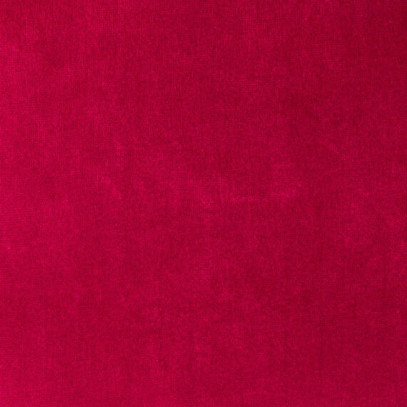 PARIS RED ROSE