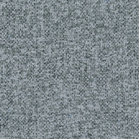 allegro-shark