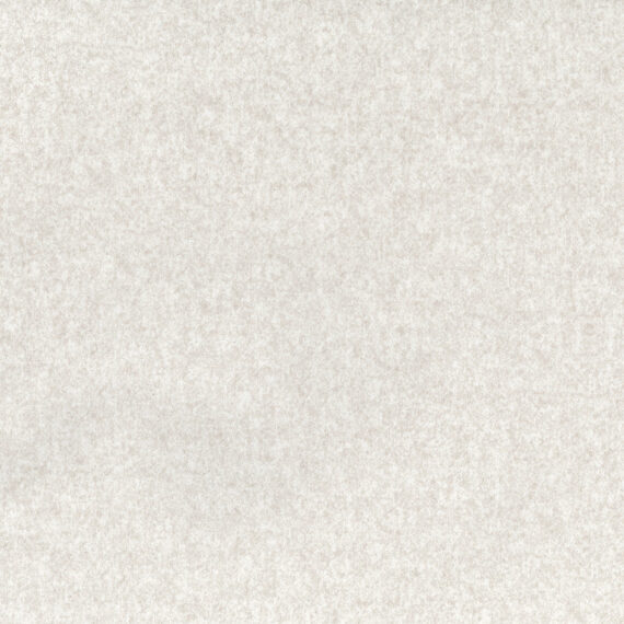 Shanghai Ivory