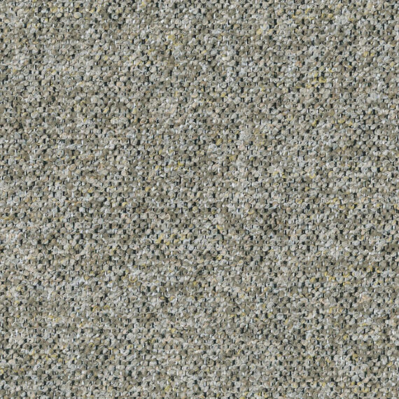 allegro-truffle